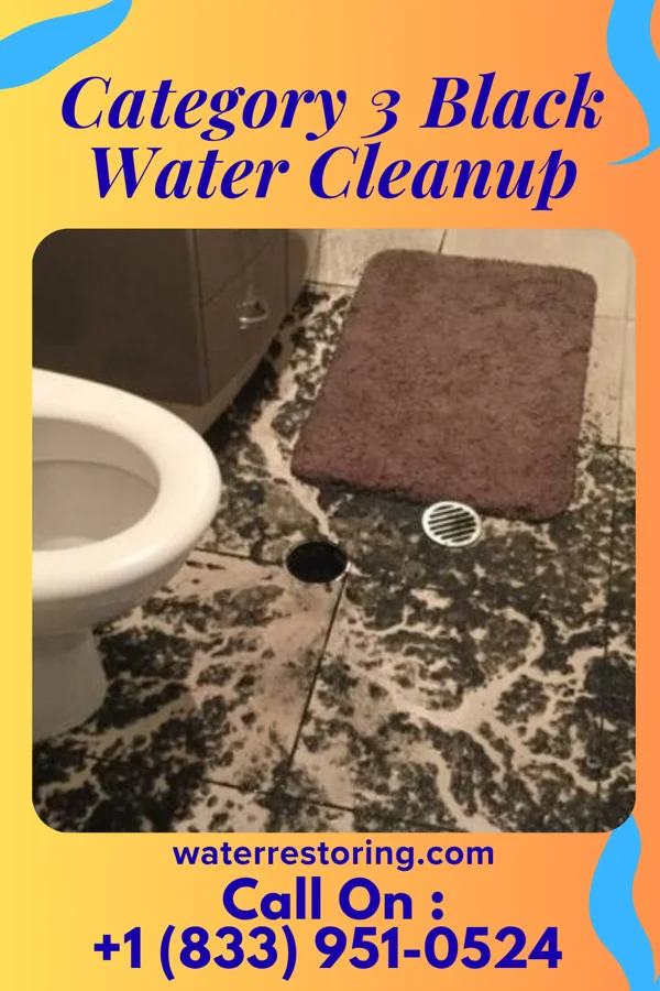 Category 3 Black Water Cleanup in Kinder, LA