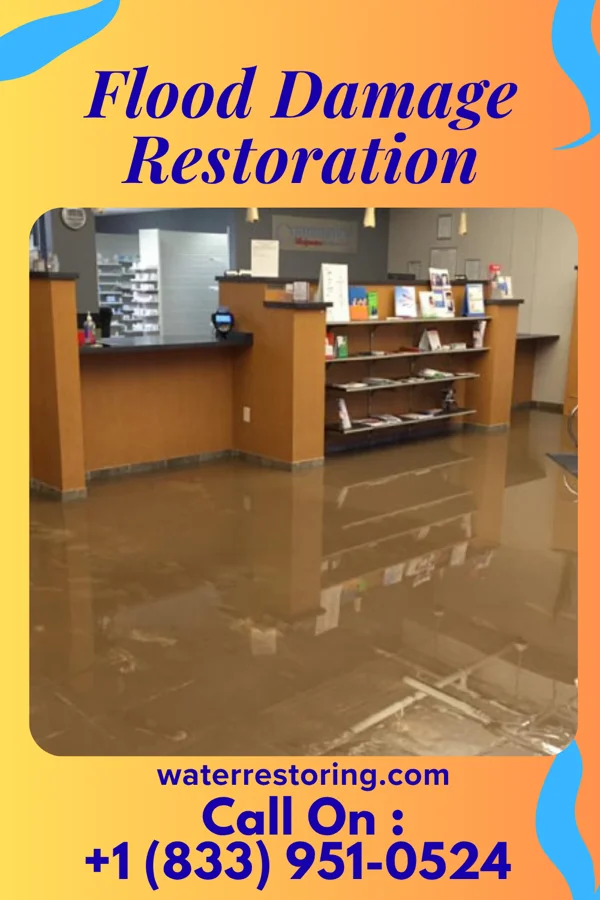 Flood Damage Restoration in Kinder, LA