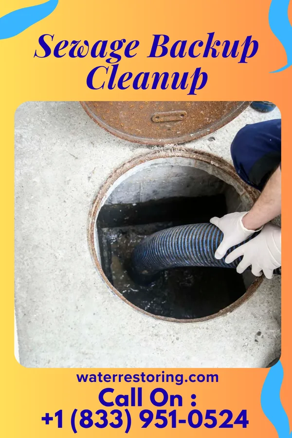 Sewage Backup Cleanup in Kinder, LA